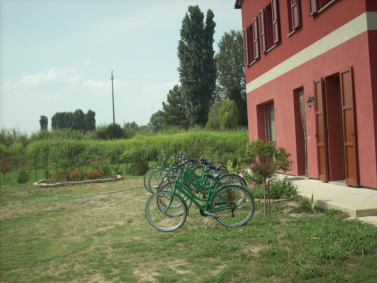 B&B Da Toni Taglio Di Po ภายนอก รูปภาพ